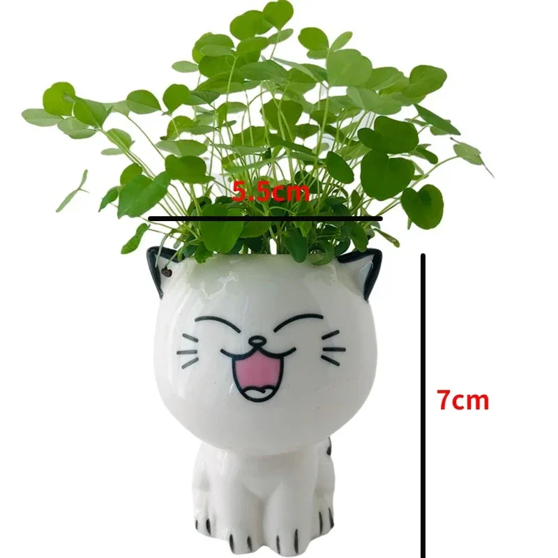 1pc Ceramic Flowerpot Mini Cat Cartoon Cute Plant Desktop Potted Plant Pot DIY Decorate Toys Science Education School Gifts - Image 3