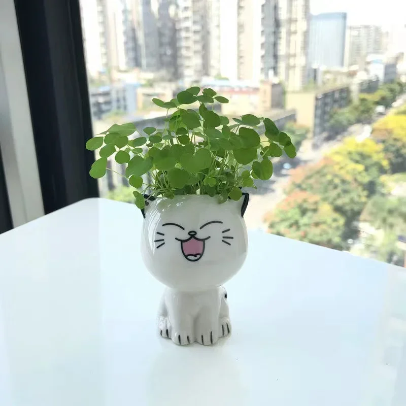 1pc Ceramic Flowerpot Mini Cat Cartoon Cute Plant Desktop Potted Plant Pot DIY Decorate Toys Science Education School Gifts - Image 5