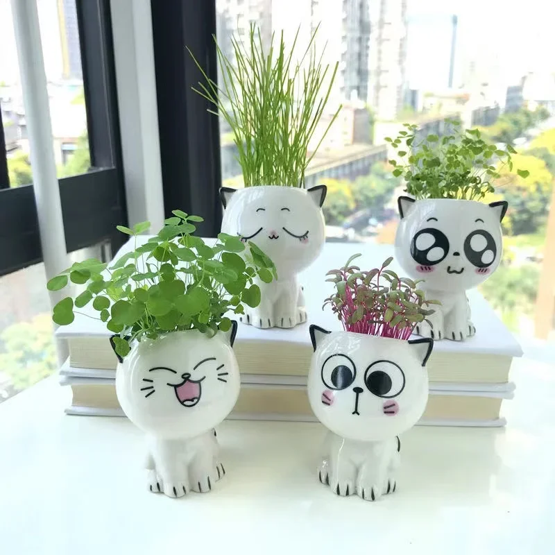 1pc Ceramic Flowerpot Mini Cat Cartoon Cute Plant Desktop Potted Plant Pot DIY Decorate Toys Science Education School Gifts - Image 2